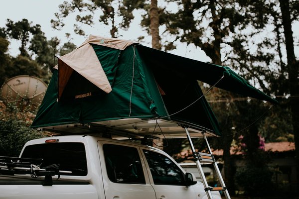 L'Œnotourisme Décrypté : Guide Essentiel et Astuces pour Nouveaux Aventuriers du Vin