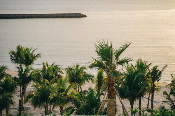 Les Meilleurs Points de Départ pour une Époustouflante Croisière en Alaska